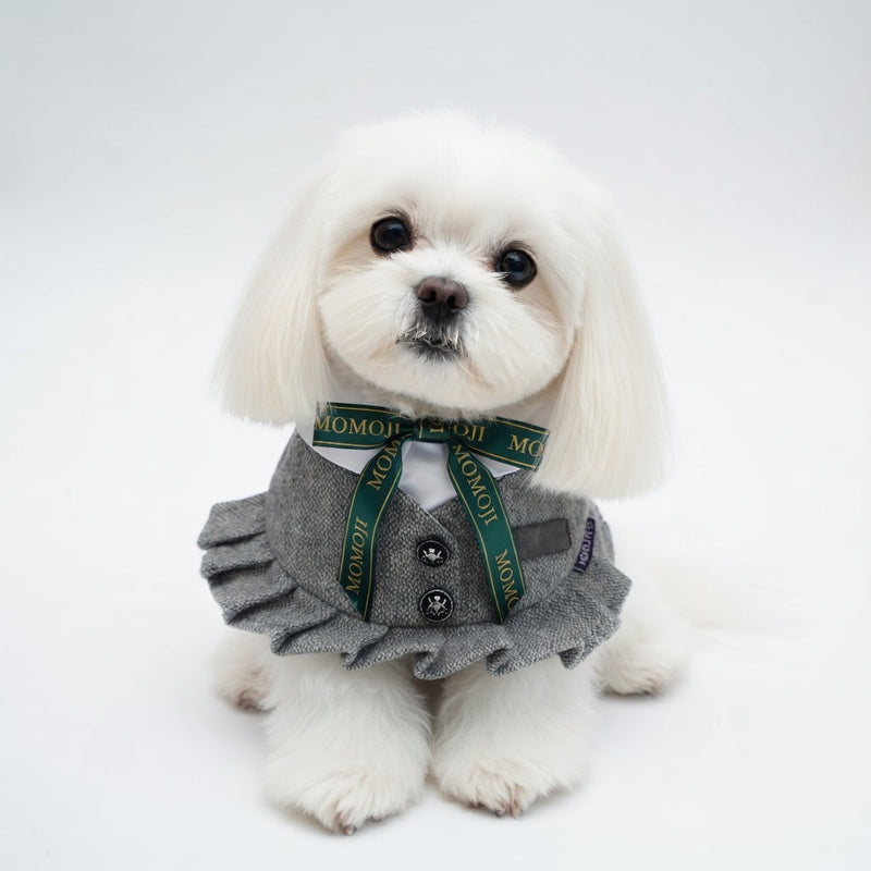 MOMOJI Picadilly (2-Light Gray Tweed) | Pet Neckwear