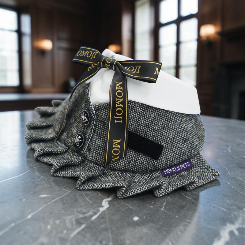 MOMOJI Picadilly (3-Charcoal Black Tweed) | Pet Neckwear