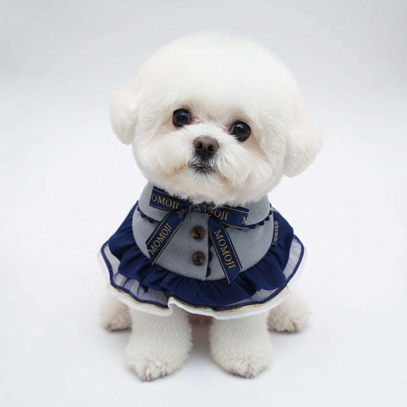 MOMOJI Chelsea (1-Haze Gray & Navy Blue) | Pet Neckwear