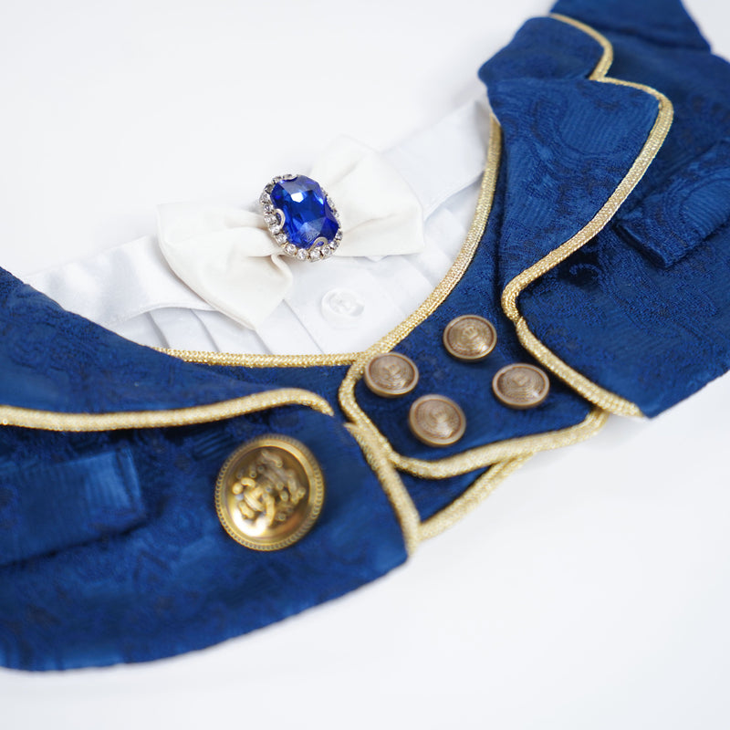 MOMOJI Cavendish (1-Imperial Sapphire Blue) | Pet Neckwear