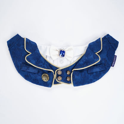 MOMOJI Cavendish (1-Imperial Sapphire Blue) | Pet Neckwear