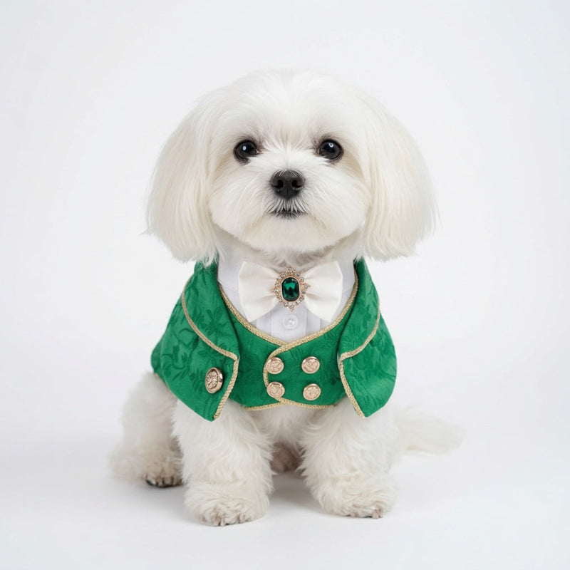 MOMOJI Cavendish (2-Emerald Regency Green) | Pet Neckwear