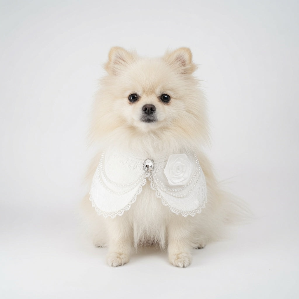 MOMOJI Debutante (1-Bridal Alabaster White) | Pet Neckwear