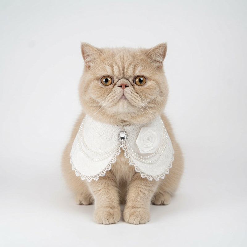 MOMOJI Debutante (1-Bridal Alabaster White) | Pet Neckwear