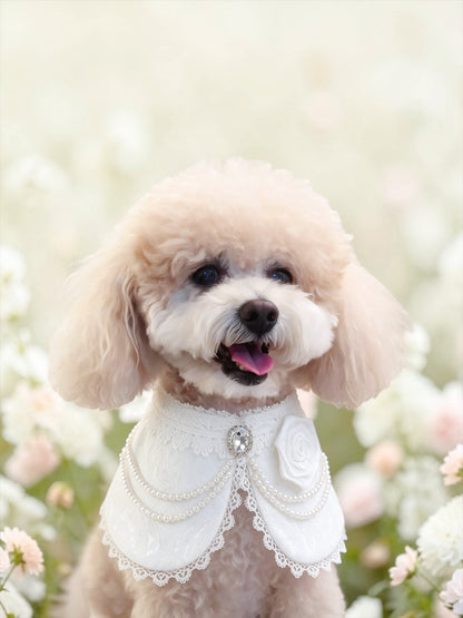 MOMOJI Debutante (1-Bridal Alabaster White) | Pet Neckwear