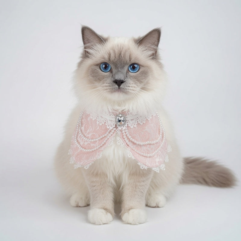 MOMOJI Debutante (2-Parisian Blush Rose) | Pet Neckwear