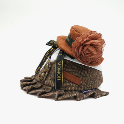 MOMOJI Picadilly (1-Caramel Velvet Brown) | Pet Hat