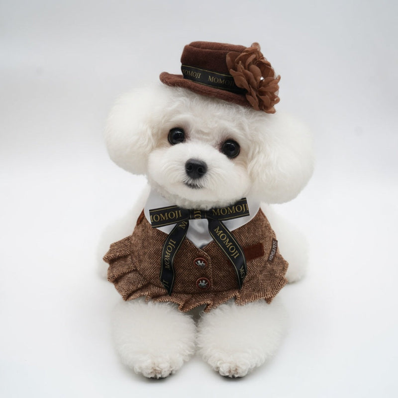 MOMOJI Picadilly (1-Caramel Velvet Brown) | Pet Hat
