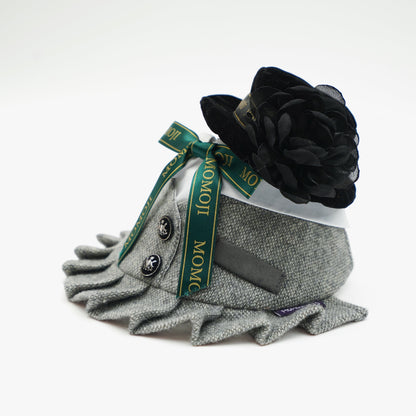 MOMOJI Picadilly (2-Velvet Obsidian Black) | Pet Hat