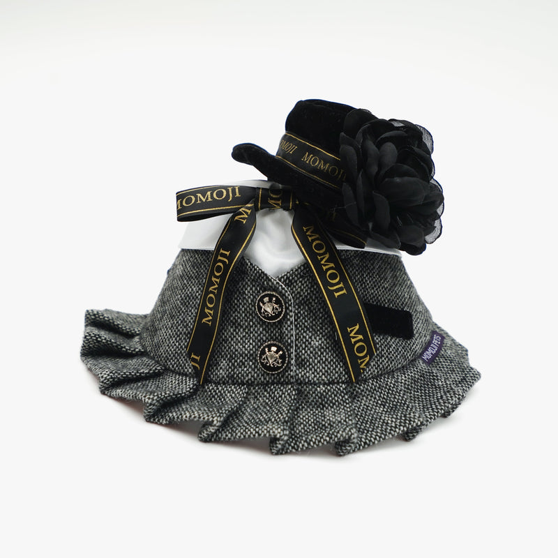 MOMOJI Picadilly (2-Velvet Obsidian Black) | Pet Hat