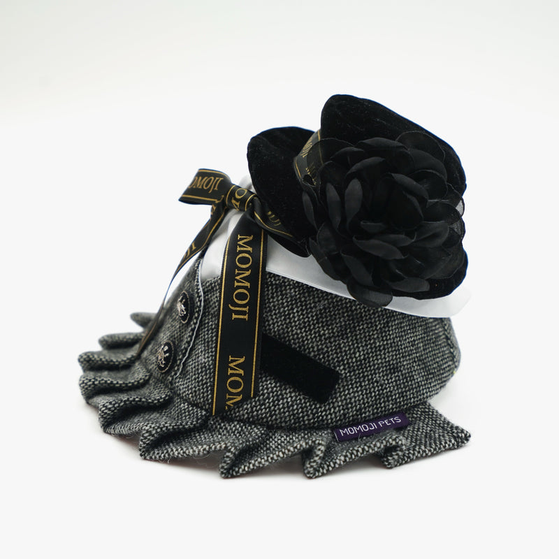 MOMOJI Picadilly (2-Velvet Obsidian Black) | Pet Hat