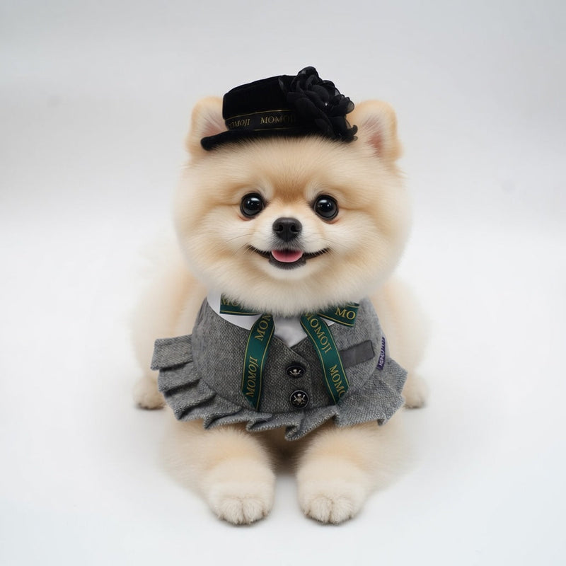MOMOJI Picadilly (2-Velvet Obsidian Black) | Pet Hat