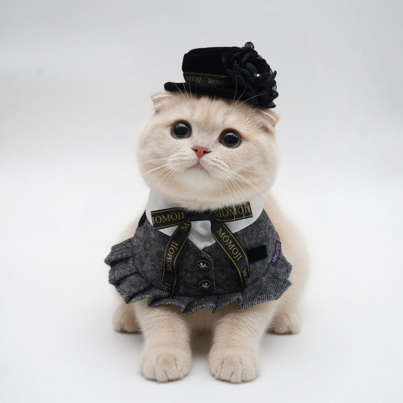 MOMOJI Picadilly (2-Velvet Obsidian Black) | Pet Hat