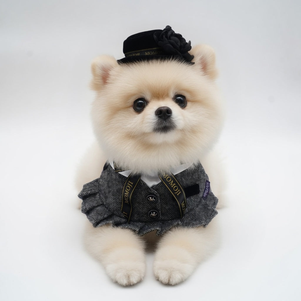 MOMOJI Picadilly (2-Velvet Obsidian Black) | Pet Hat