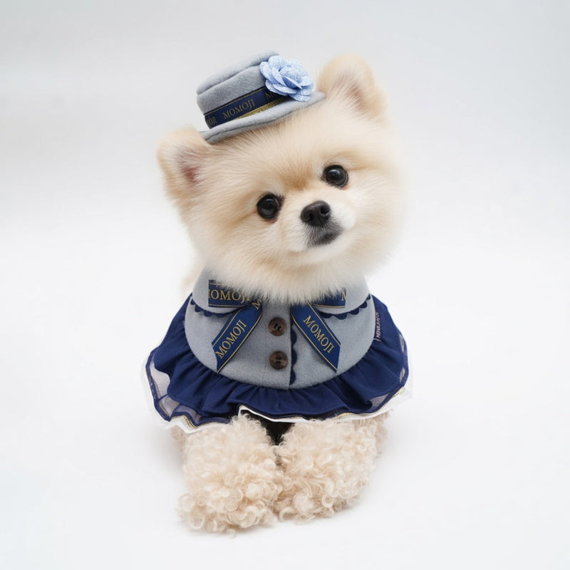 MOMOJI Mayfair (1-Haze Gray & Navy Blue) | Pet Hat