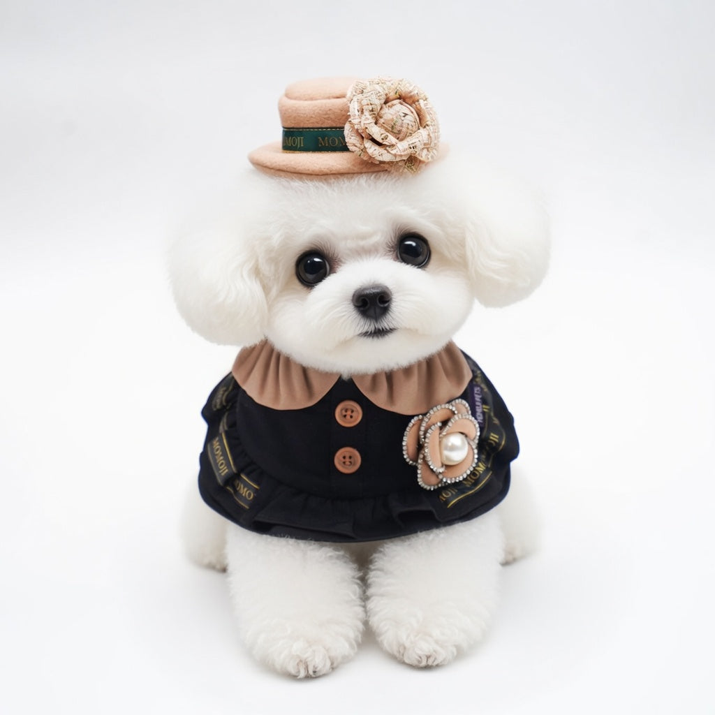 MOMOJI Mayfair (3-Warm Vintage Brown) | Pet Hat