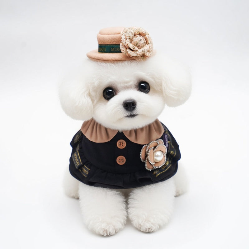 MOMOJI Mayfair (3-Warm Vintage Brown) | Pet Hat