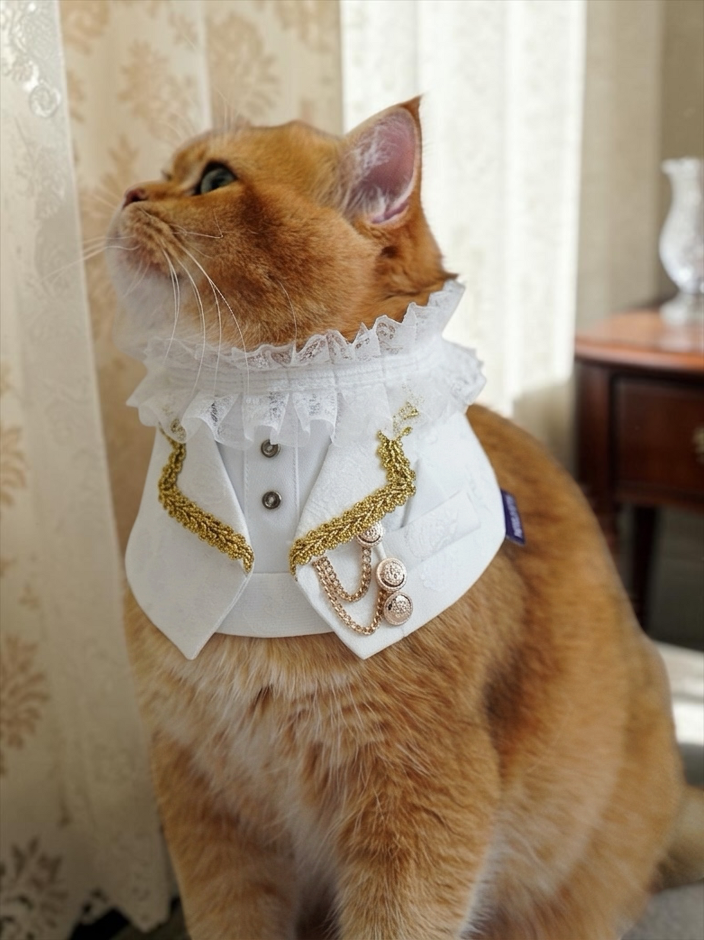 MOMOJI Harrington (2-Bridal Alabaster Silk) | Pet Neckwear