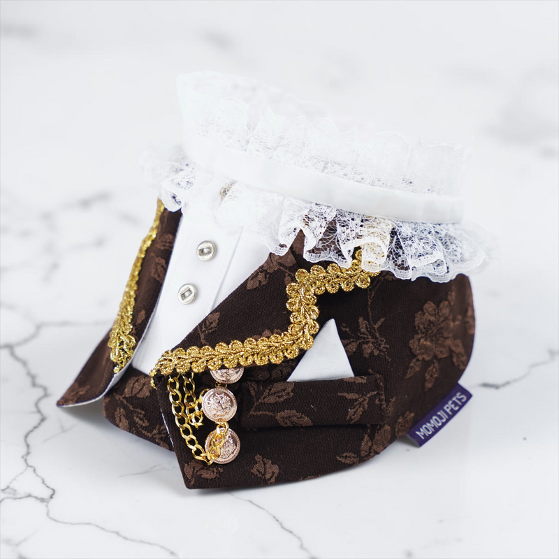 MOMOJI Harrington (1-Espresso Brocade) | Pet Neckwear