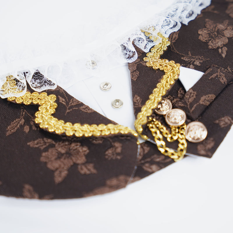 MOMOJI Harrington (1-Espresso Brocade) | Pet Neckwear