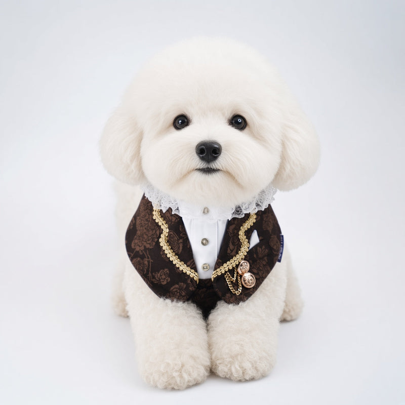 MOMOJI Harrington (1-Espresso Brocade) | Pet Neckwear