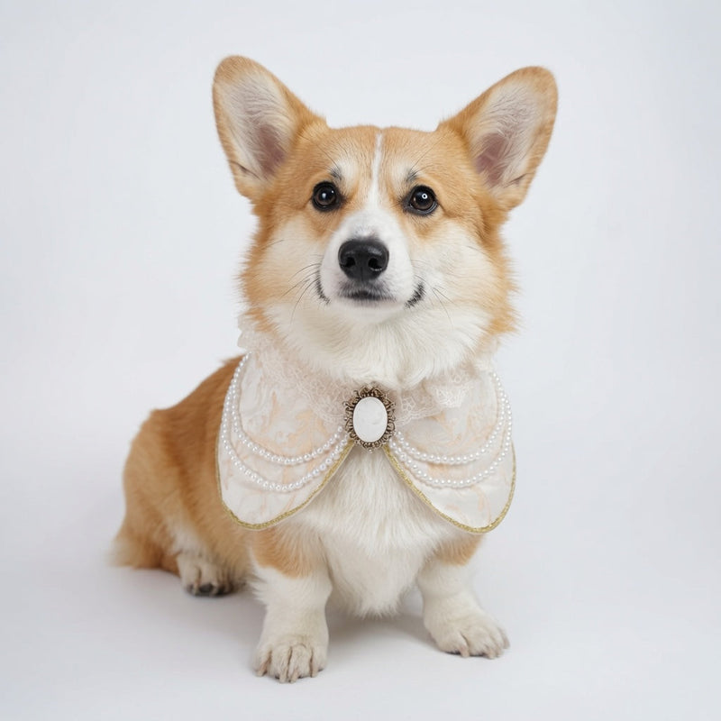 MOMOJI Henrietta (1-Champagne Silk Ivory) | Pet Neckwear