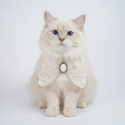 MOMOJI Henrietta (1-Champagne Silk Ivory) | Pet Neckwear