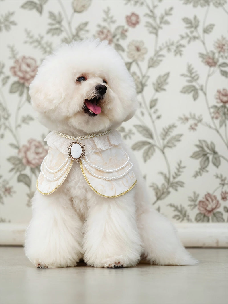 MOMOJI Henrietta (1-Champagne Silk Ivory) | Pet Neckwear