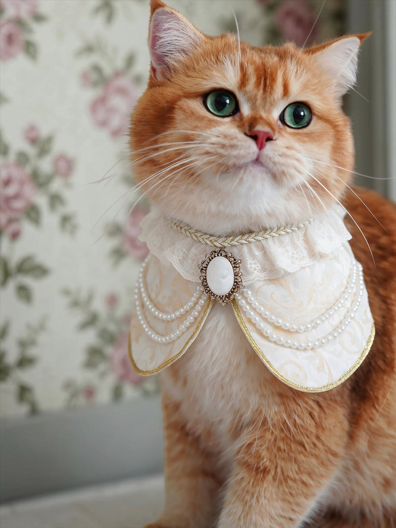 MOMOJI Henrietta (1-Champagne Silk Ivory) | Pet Neckwear