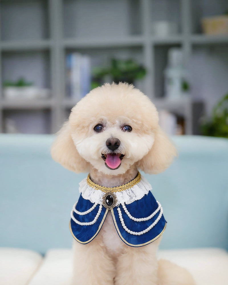 MOMOJI Henrietta (2-Imperial Sapphire Velvet) | Pet Neckwear