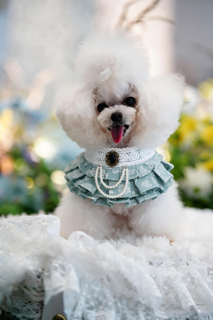 MOMOJI Alexandrina (1-Regency Sage Mist) | Pet Neckwear