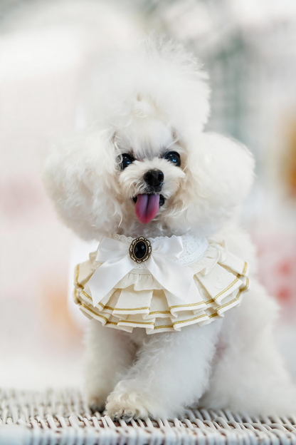 MOMOJI Alexandrina (2-Alabaster Cream) | Pet Neckwear