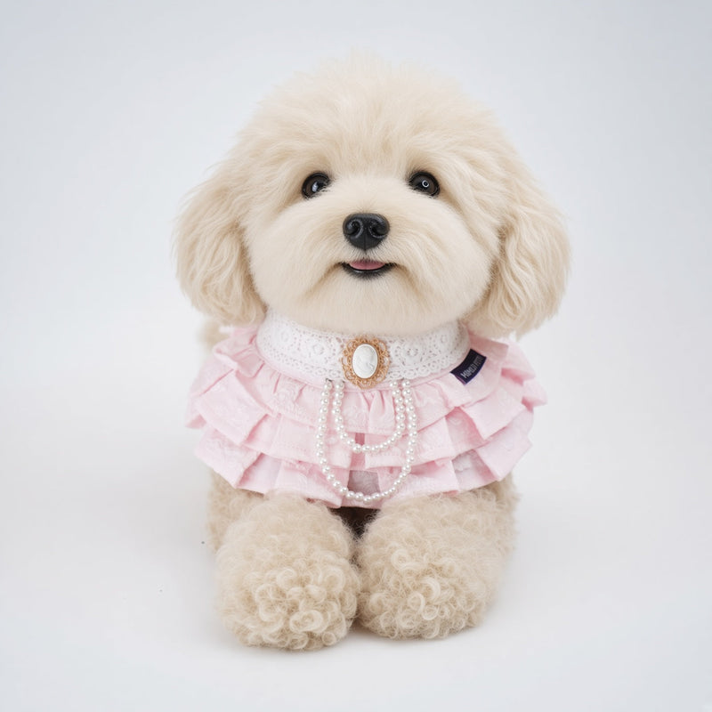 MOMOJI Alexandrina (3-Parisian Blush Rose) | Pet Neckwear