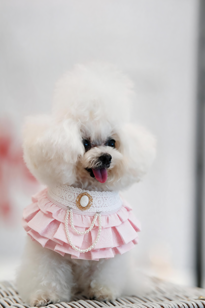 MOMOJI Alexandrina (3-Parisian Blush Rose) | Pet Neckwear