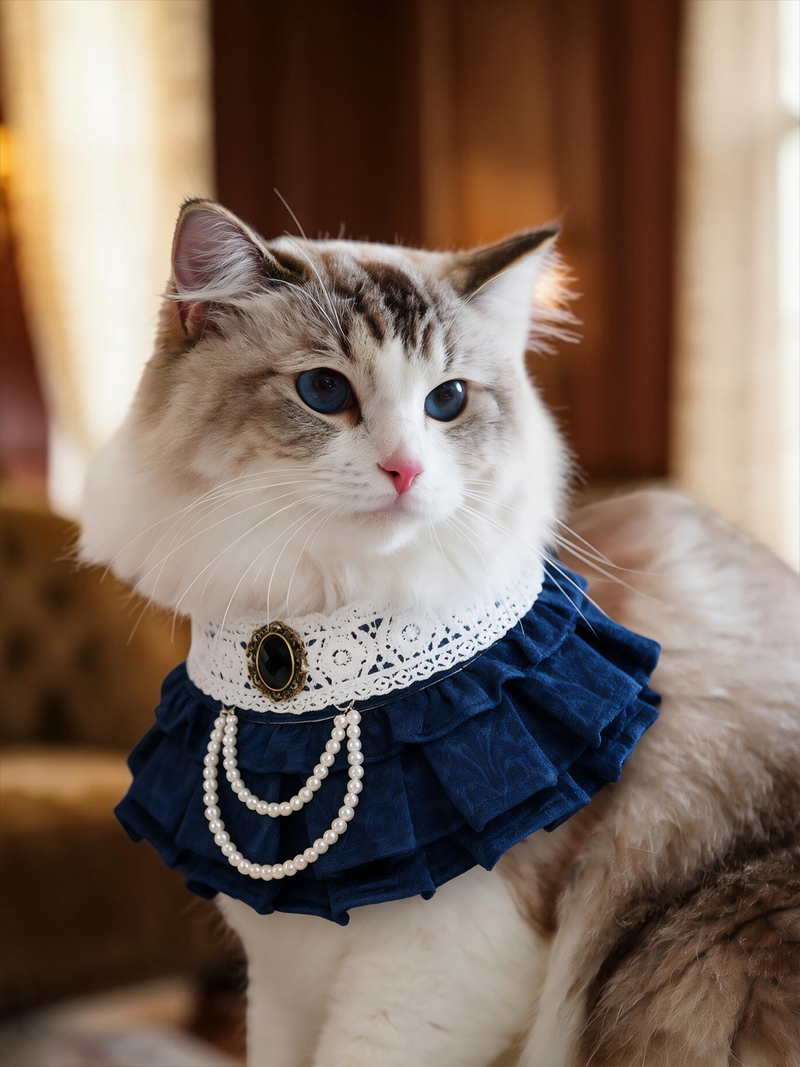 MOMOJI Alexandrina (4-Imperial Sapphire Brocade) | Pet Neckwear