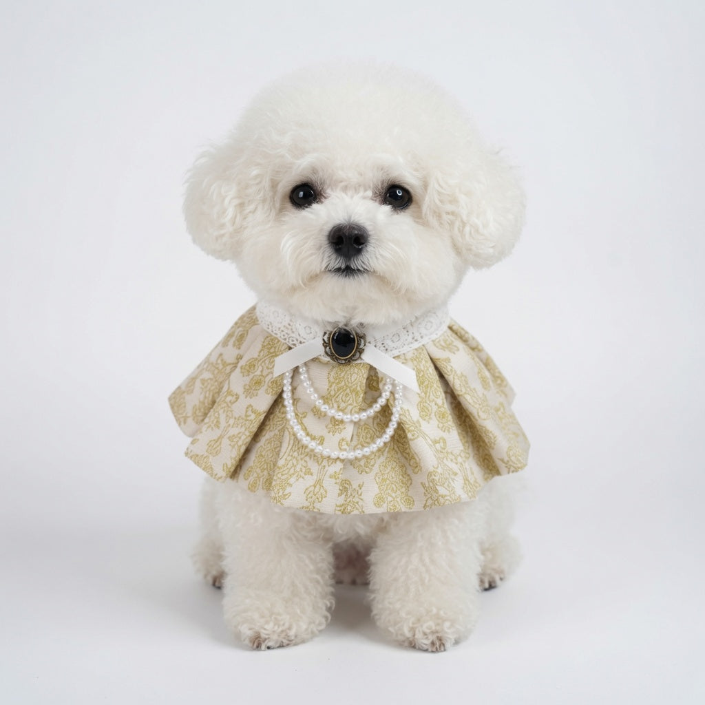 MOMOJI Gwendolen (1-Gilded Vanilla Brocade) | Pet Neckwear