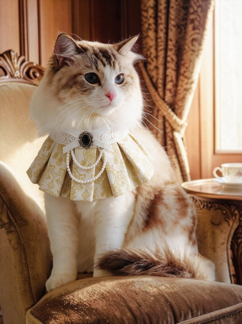 MOMOJI Gwendolen (1-Gilded Vanilla Brocade) | Pet Neckwear
