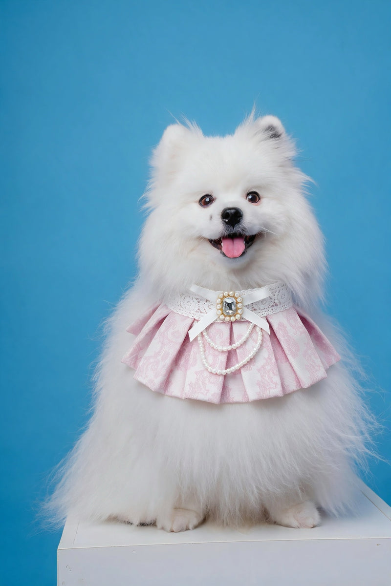MOMOJI Gwendolen (2-Porcelain Blush Pink) | Pet Neckwear