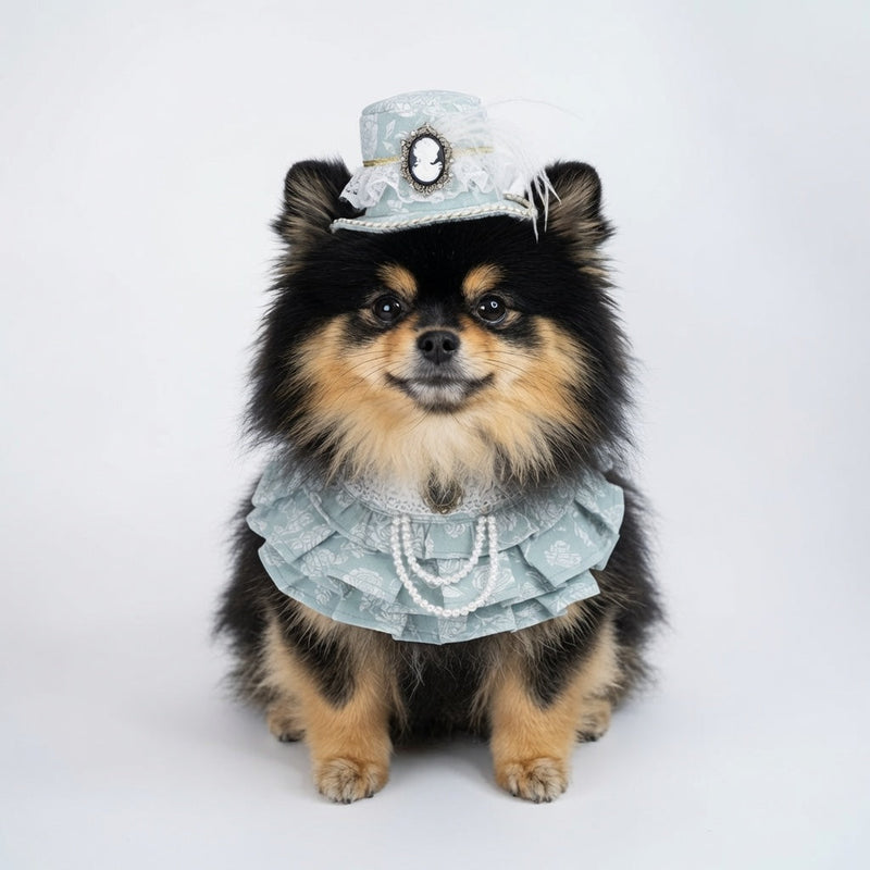MOMOJI Augusta (1-Regency Celadon Sage) | Pet Hat
