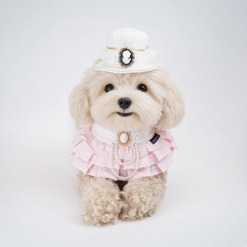 MOMOJI Augusta (2-Bridal Alabaster White) | Pet Hat
