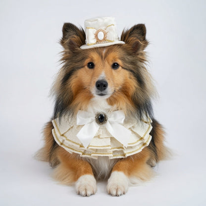 MOMOJI Arabella (1-Bridal Alabaster Satin) | Pet Hat