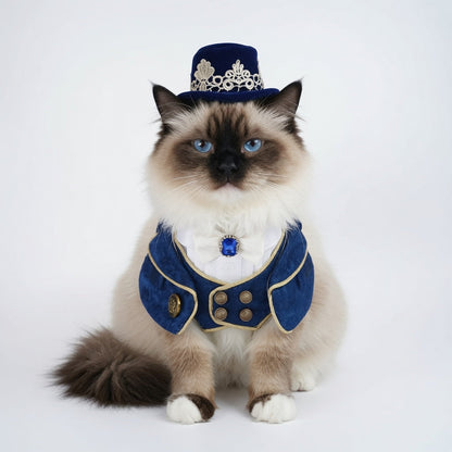 MOMOJI Sovereign (1-Imperial Midnight Blue) | Pet Hat