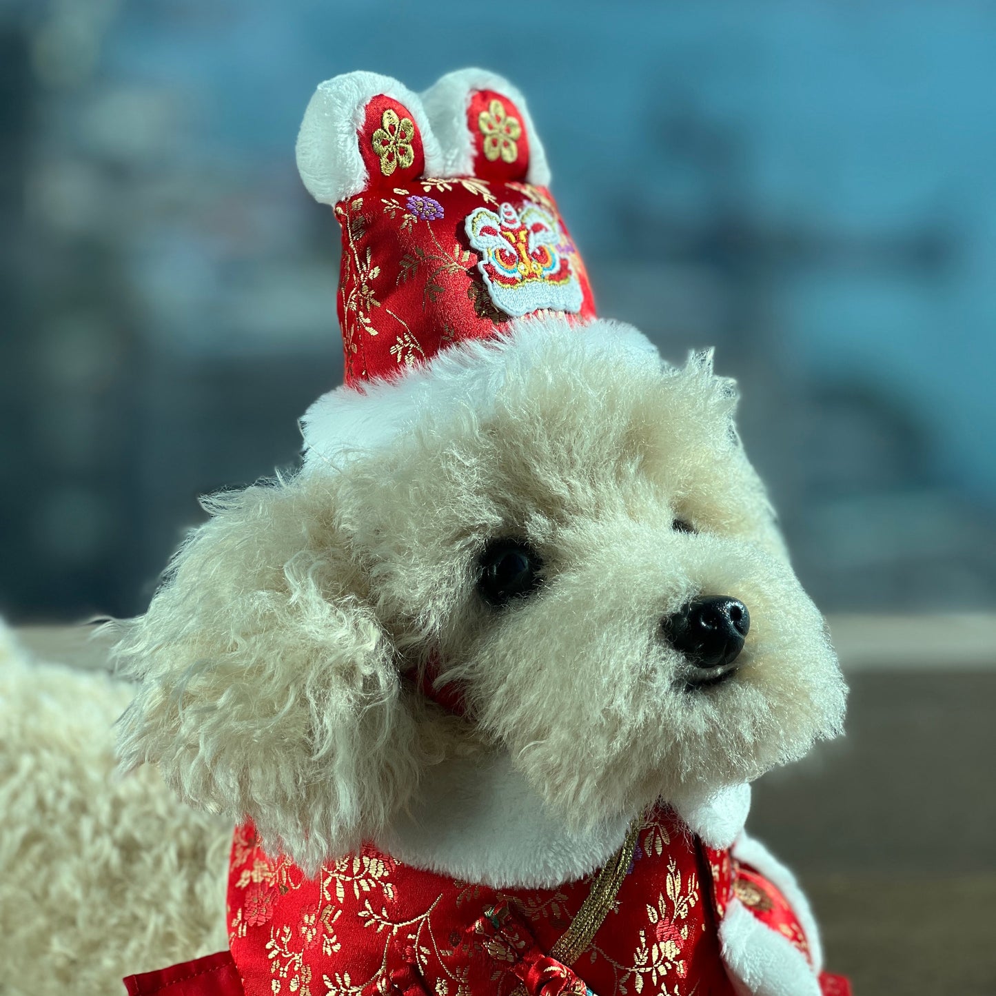 MOMOJI Dancing Lion 舞獅 | Pet LNY Hat