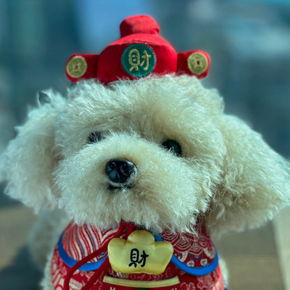 MOMOJI God of Wealth 財神 | Pet LNY Hat