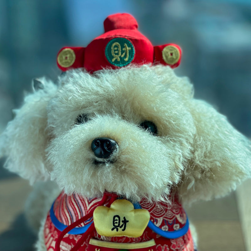 MOMOJI God of Wealth 財神 | Pet LNY Hat