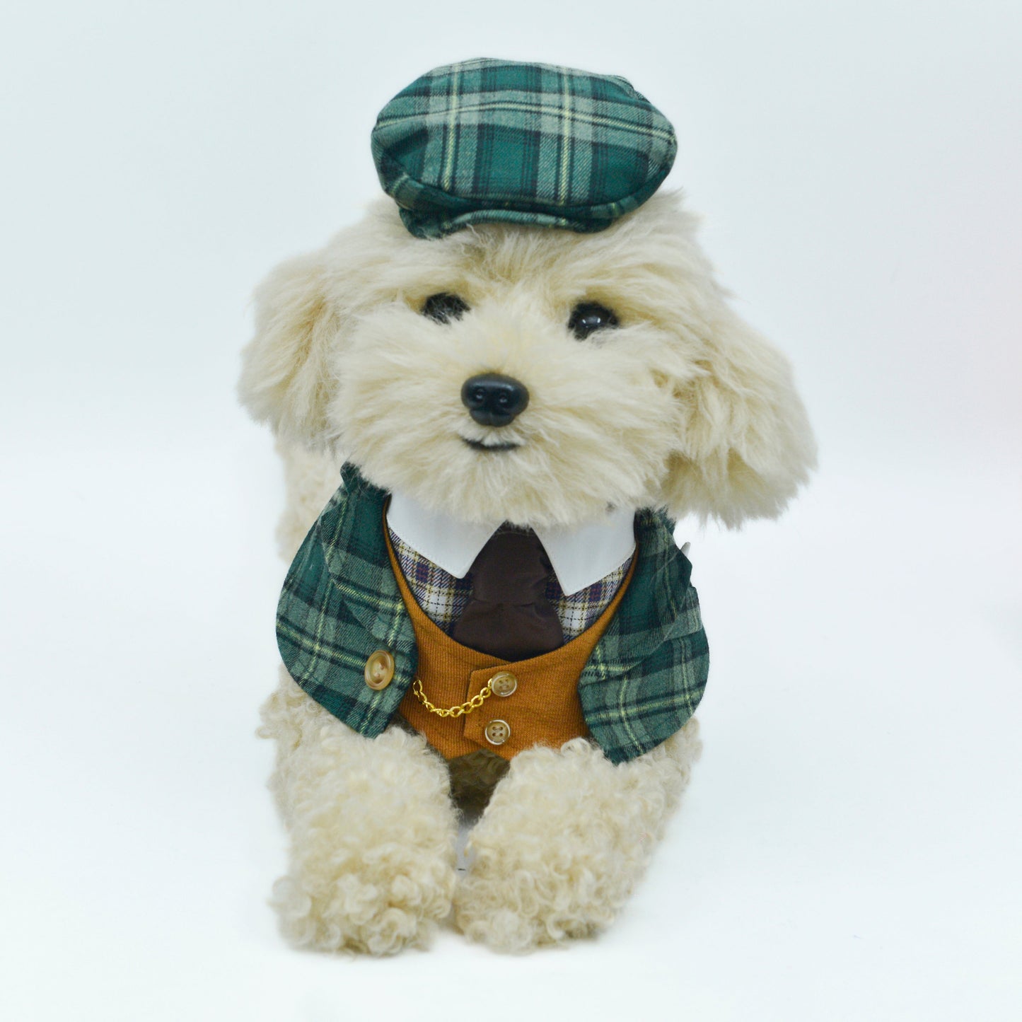 MOMOJI Charles | Pet Hat