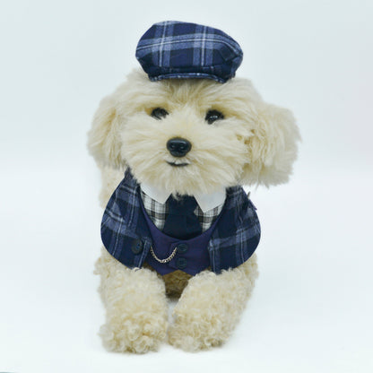 MOMOJI Charles | Pet Hat