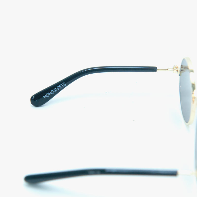 [early bird gift] Pet Eyewear