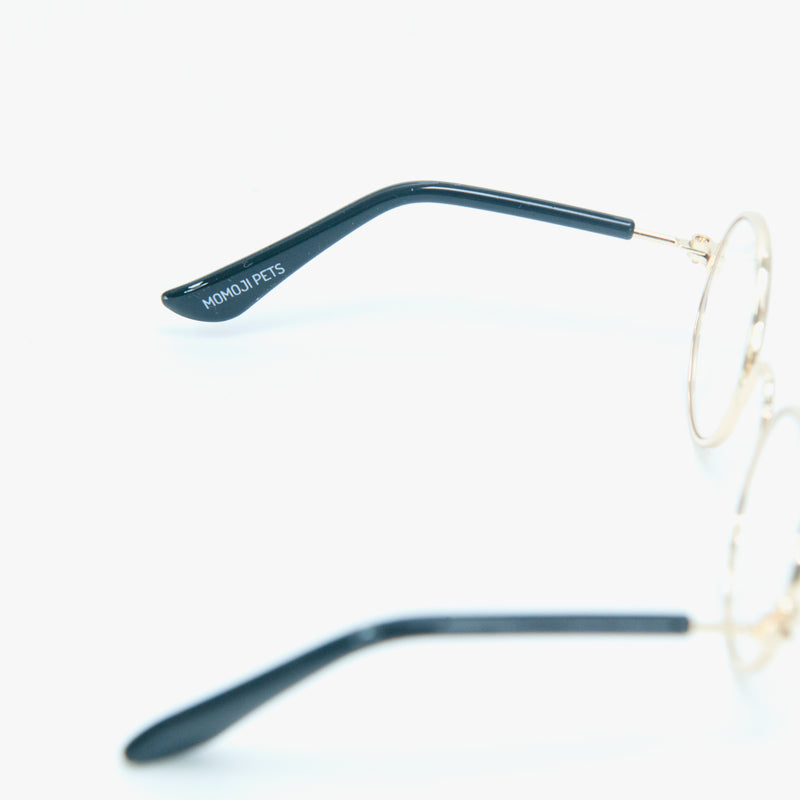 [early bird gift] Pet Eyewear