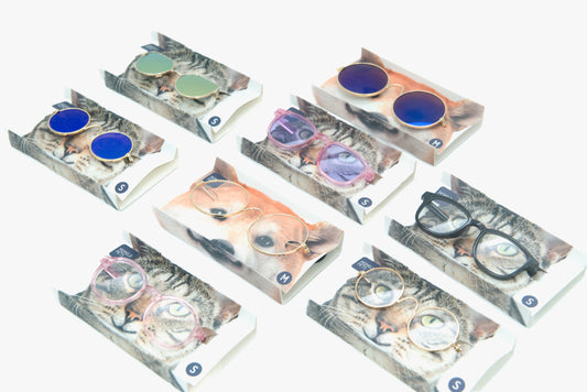 [early bird gift] Pet Eyewear